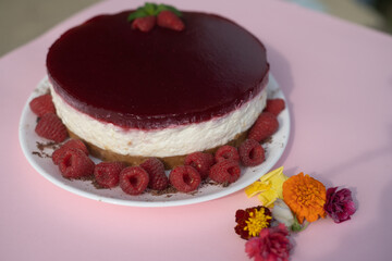 Delicious cheesecake on a plate and a pink background decorated with raspberries isolated