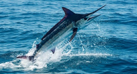 Obraz premium Close-Up of a Marlin’s Leap: Detailing Scales, Motion, and Water Surface Interaction