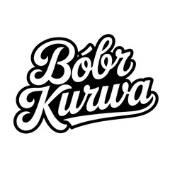 Creative Bobr Kurwa logo design featuring a beaver and playful typography in a bold black and white style