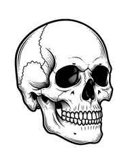 Obraz premium Simple black skull illustration on dark background, for Halloween designs.
