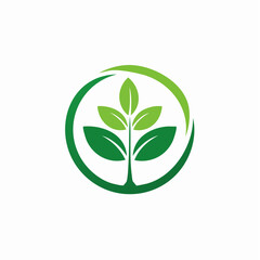 Minimalist Botanical Plant Logo