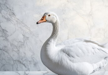 Obraz premium Elegant goose art print, showcasing realistic detail and a marble texture backdrop