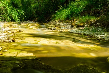 Fototapete water flowing in the forest © Oleksiy