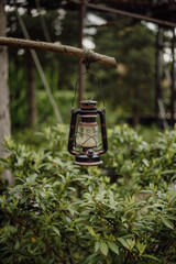 lantern in the park