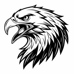 eagle head fierce black and white feather vector art on with background