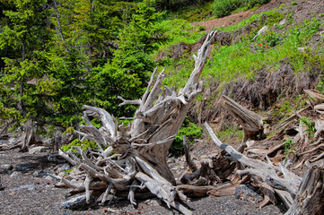 Kananaskis Lake. Canada. 6 July 2024.