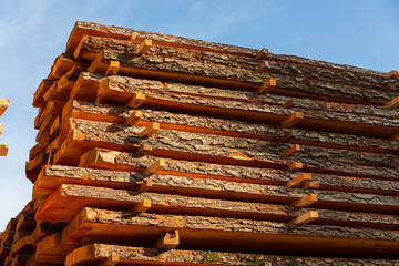 Sturdy logs are stacked neatly in a timber yard, drying under the warm glow of afternoon light, showcasing their natural textures