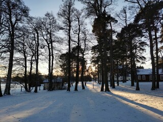 Serene winter landscape with snow and shadows