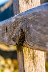 Macro view of a weathered wooden fence rail intersecting a moss-speckled post, revealing intricate grain patterns and aged patina