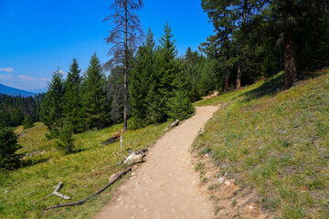 Valley of the Five Lakes trail in the Jasper National Park before the 2024 wildfire in Alberta, Canada