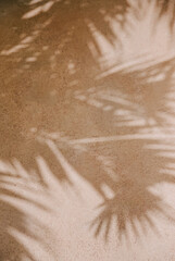 Shadows from palm leaves creating intricate patterns on a sandy surface in a warm, sunny environment