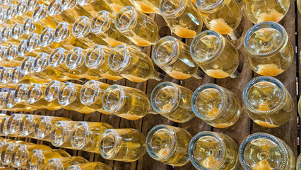 Wine bottles resting horizontally on wooden rack during sparkling wine production, showcasing...