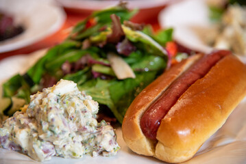 Hot dog with potato salad and green salad