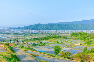 初夏の姨捨の棚田　長野県千曲市　Obasute rice terraces in early summer, Nagano Pref,...