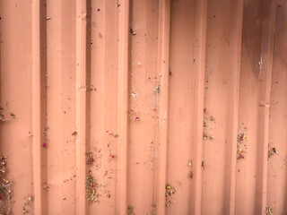 Photograph of small plant pieces and flower petals stuck in a spiderweb on an old and damaged orange residential fence on a sunny Autumn day.