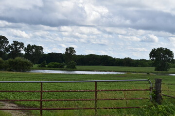 Fototapeta premium Lake in a Farm Field