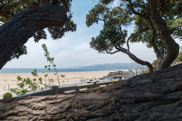 View of Santa Monica beach and mountains from pallisades park