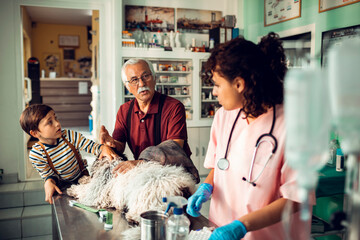 Veterinarian discussing treatment options with grandfather and grandson at the animal clinic