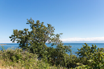 Scenic view of the Strait of Juan de Fuca from Victoria, BC, with lush greenery and calm blue water under a clear sky.
