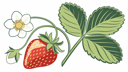 Stylized Illustration of a Ripe Strawberry with Flower and Leaves