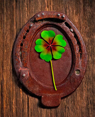 Green four-leaf clover on an old horseshoe. Clover leaf on a wooden background. St. Patrick's Day concept. Brown background. Collage.