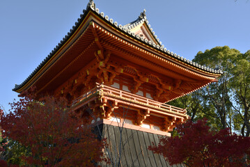 秋の仁和寺　鐘楼とモミジ(京都市右京区)