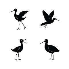 Obraz premium Dowitcher bird silhouette set highlighting long billed wading bird poses vector illustration.