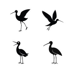 Obraz premium Godwit bird silhouette set showing wading bird shapes with long beaks and wings vector illustration.
