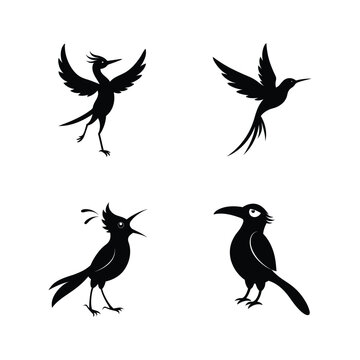 Jacamar bird silhouette set with tropical bird shapes shown perched and in flight vector illustration.
