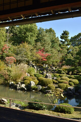 秋の等持院　書院から眺める庭園　芙蓉池