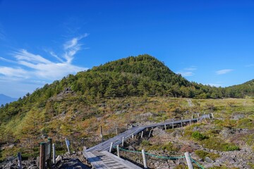 青空バックに見る池の平湿原の秋の情景