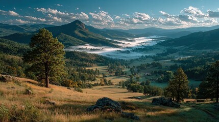 Fototapeta premium valley, range, meadow, trees, peak, alpine, hill, rock, tree