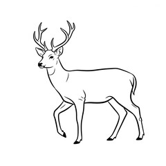 deer silhouette vector