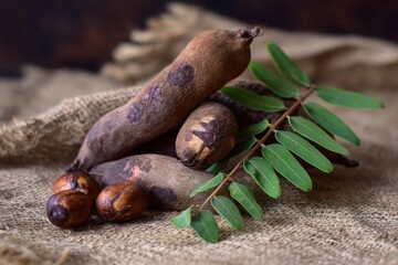 Fototapeta premium Dried tamarind called Imli in India has a sour flavor