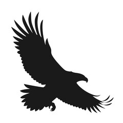 Silhouette of an Eagle in Flight