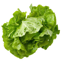 Fresh, vibrant green lettuce leaves with crisp texture, perfect for salads and garnishes, showcasing their natural beauty and health benefits