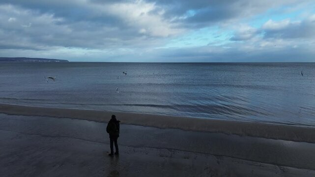Insel R&uuml;gen im Winter - M&ouml;wen in Prora