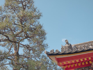 Fototapeta premium Fushimi Inari Kyoto Japan
