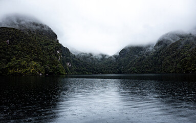 Misty foggy fiords new zealand milford sound fiordland national park beautiful sea rain nature...