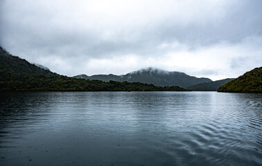 Misty foggy fiords new zealand milford sound fiordland national park beautiful sea rain nature...