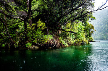 New zealand fiordland national park sea ocean water moody dramatic landscape sounds fjords fiords milford sound cliff water edge 