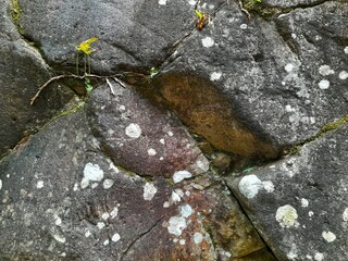 Close-up of a natural rock surface with a rough, uneven texture, visible cracks, and earthy tones,...