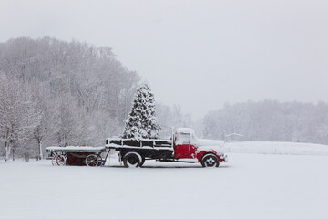 Christmas Delivery: Pine Tree in Snow-Covered Truck Amid Winter Storm