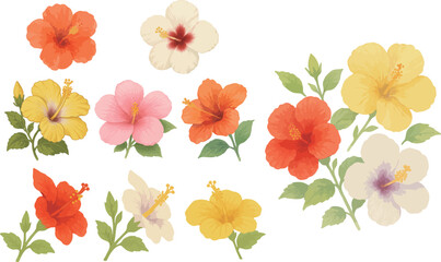 Colorful Hibiscus Flower Illustration Set – Tropical and Summer Floral Design © ECcribute