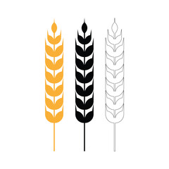 wheat grain cereal icon vector design template