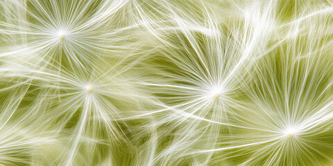 Dandelion seeds with feathery structures are floating against a blurred backdrop, appearing delicate and airy. Concept: Nature, lightness, fragility