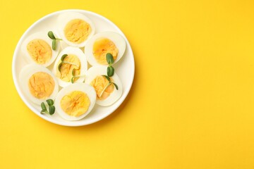 Halves of hard boiled eggs with microgreens on yellow background, top view. Space for text