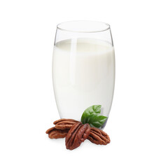 Nut milk in glass and pecans isolated on white
