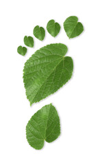 Human footprint made of green leaves on white background, top view. Environmental care, ecology protection, reducing CO2 emission