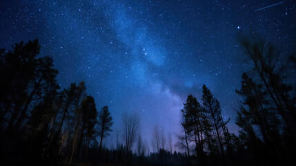 Fototapeta premium Starry Night Sky with Faint Milky Way and Meteor Trails